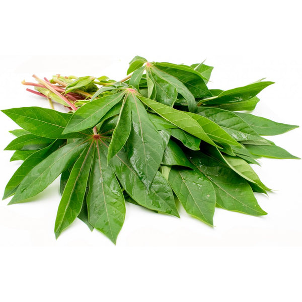 Cassava Leaf - AfroAsiaa