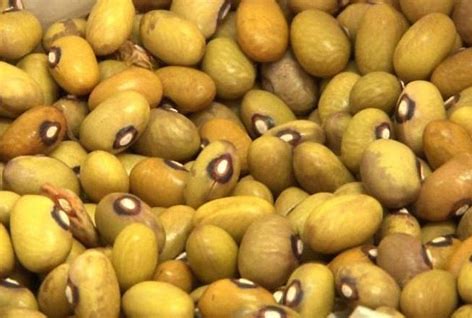 Yellow Beans | Mbambara Grountnut - AfroAsiaa